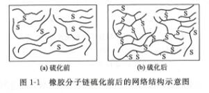 橡膠分子鏈硫化前后的網(wǎng)絡結(jié)構(gòu)示意圖