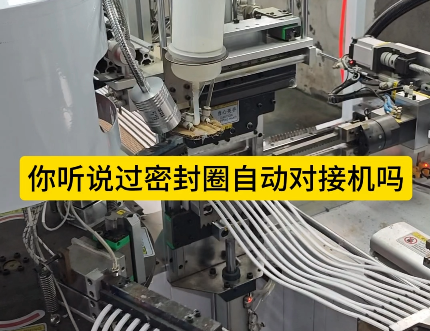 「視頻」你聽說過這款密封圈自動對接機(jī)嗎？