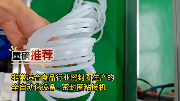 「視頻」重磅推薦！非常適合食品工業(yè)密封圈生產(chǎn)的全自動(dòng)化設(shè)備--密封圈粘接機(jī)