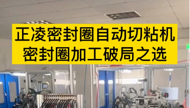 「視頻」正凌密封圈自動切粘機--密封圈加工破局之選！